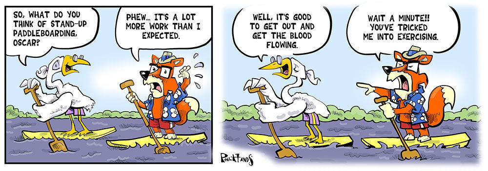 MENDOTA MARSH: Paddleboard